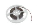 EUROLITE LED-Streifen 300 5m 3528 5700K 12V
